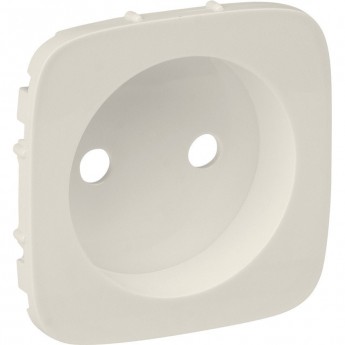 Лицевая панель силовой розетки LEGRAND Valena ALLURE 2К слоновая кость